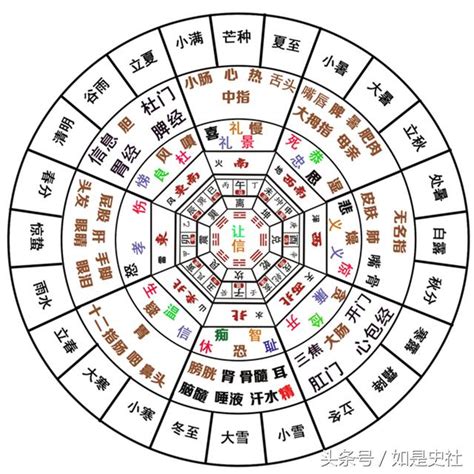 屬木的數字|第5集 易學實用系列——「木」的五行屬性是什麼？